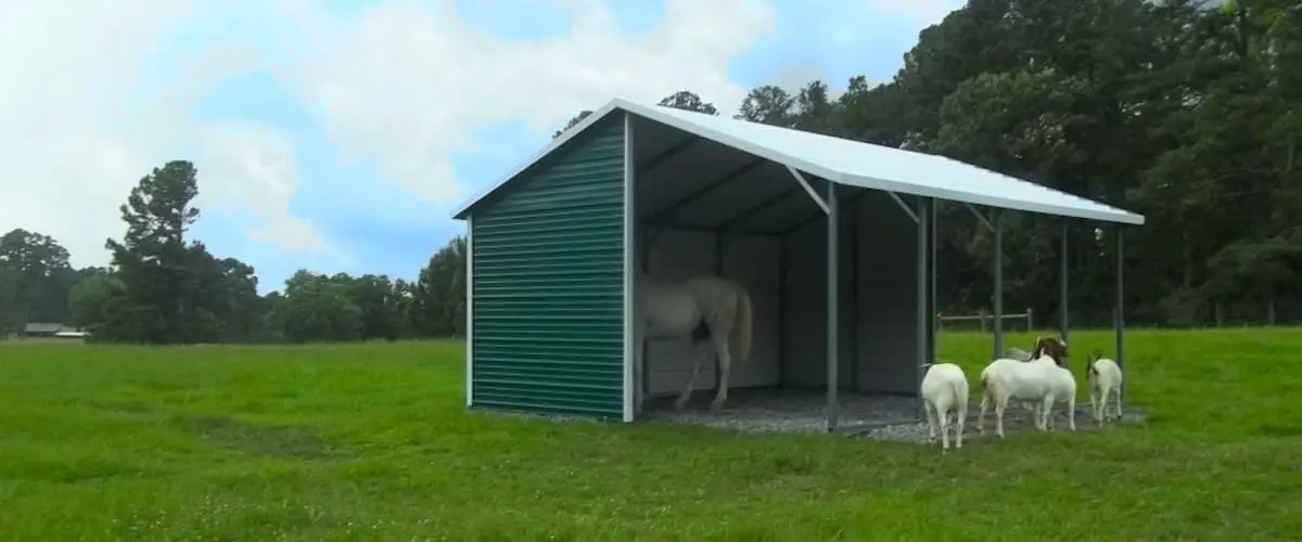 Run in Shelter / Loafing Shed